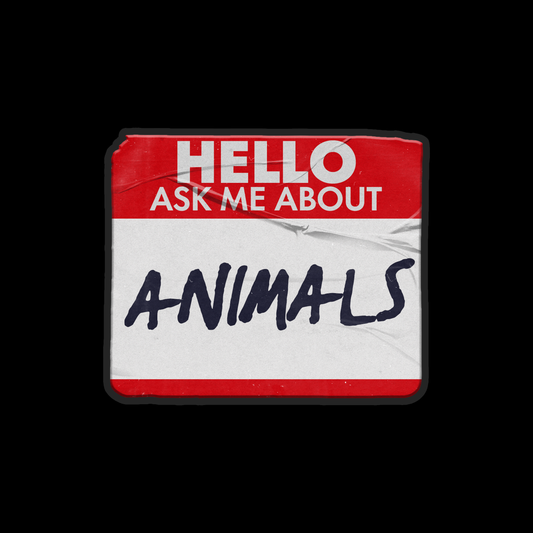 Acrylic pin with text 'HELLO ASK ME ABOUT ANIMALS' on a black background