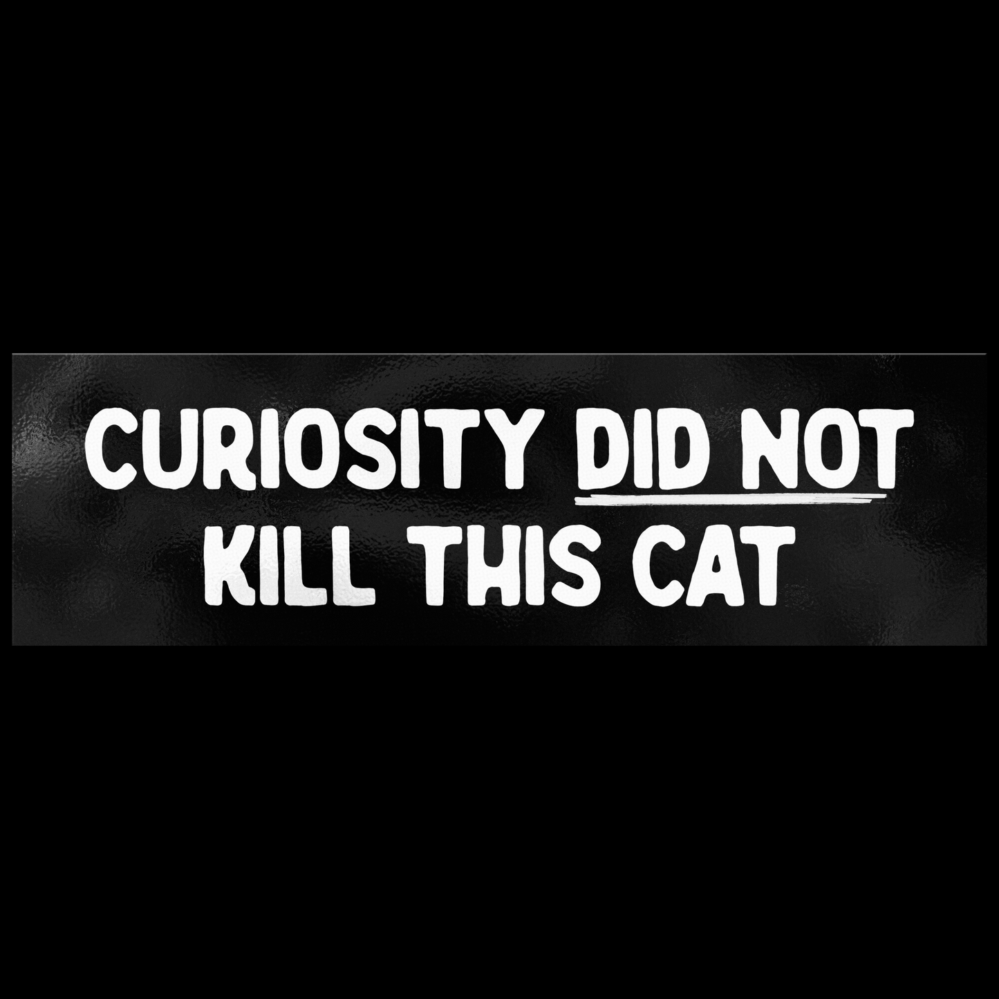 BUMPER STICKER - CURIOUSITY DIDN'T KILL THIS CAT