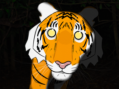 PRINT - CAMERA TRAP