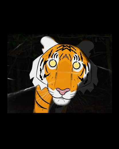 PRINT - CAMERA TRAP